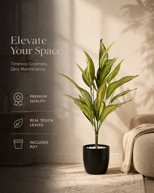 LuxeVerde™ Artificial Dracaena Plant with Pot (75 cm) | Real Touch Indoor Decor