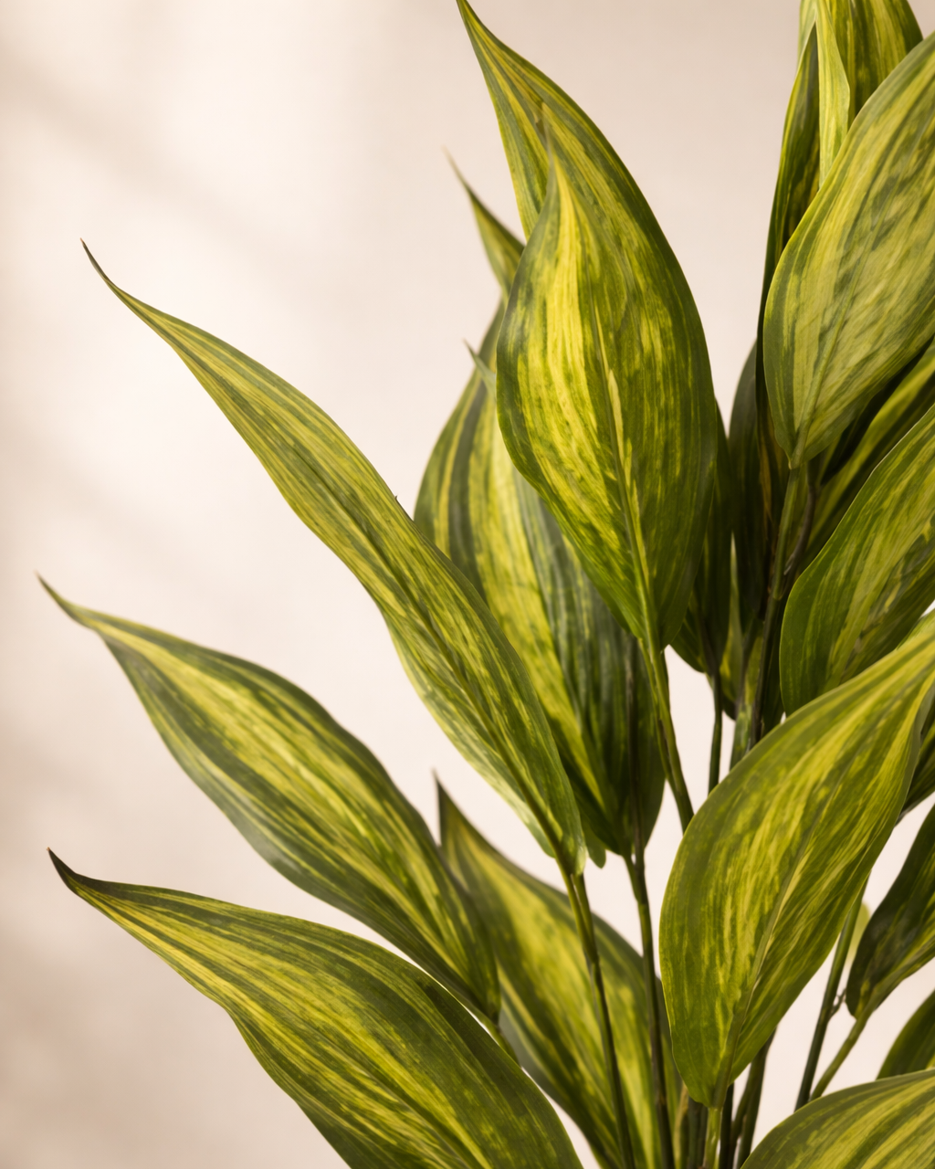 LuxeVerde™ Artificial Dracaena Plant with Pot (75 cm) | Real Touch Indoor Decor