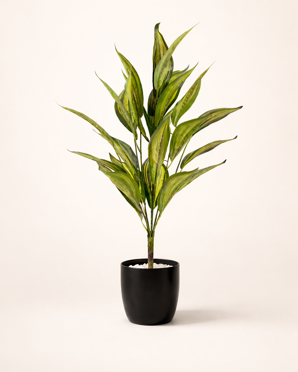 LuxeVerde™ Artificial Dracaena Plant with Pot (75 cm) | Real Touch Indoor Decor