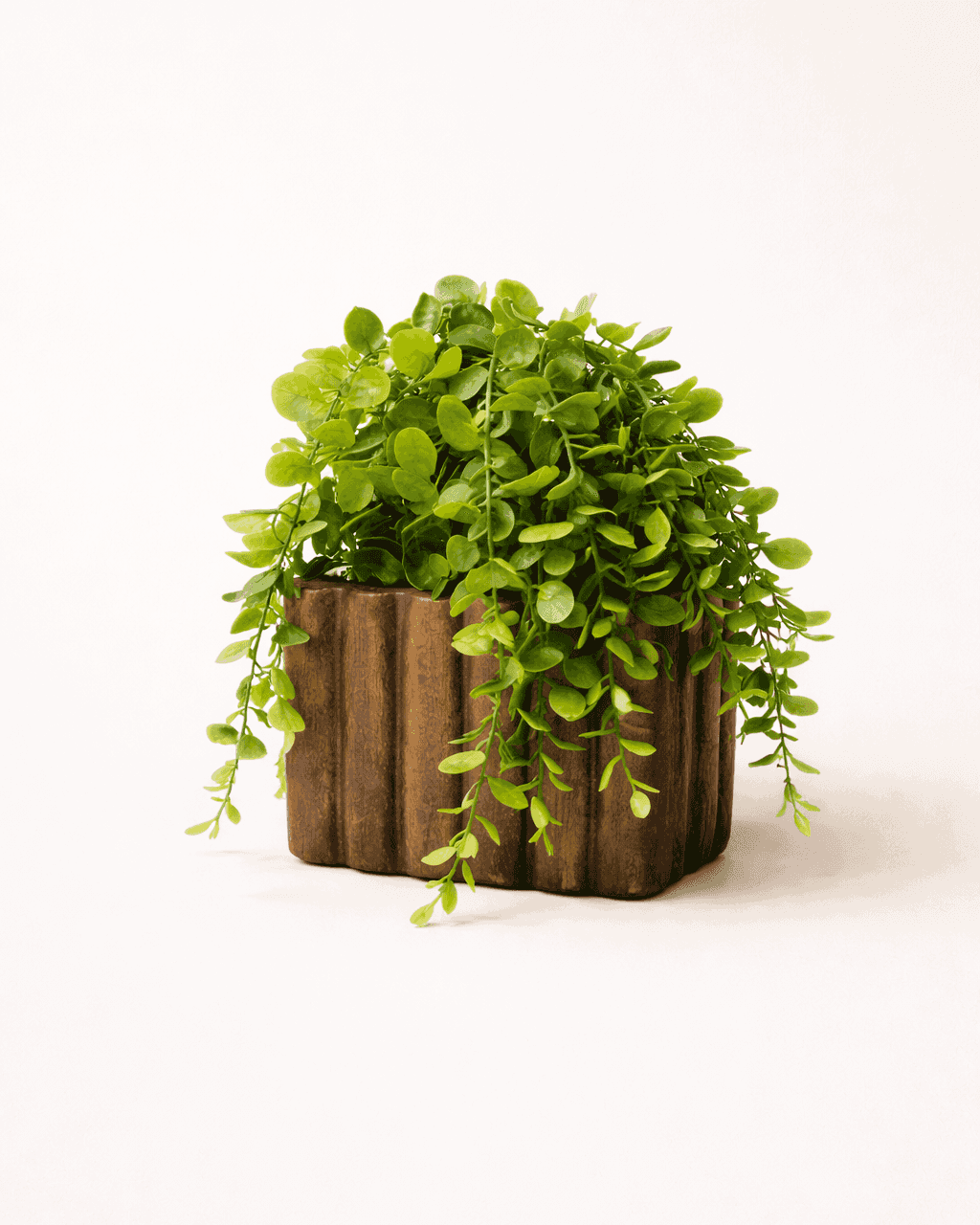 Luxury Artificial Falling Plant – Pack of 3 (Wooden Pot)