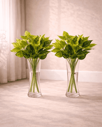 Verdéa Luxe artificial pothos plant bunch in clear vase for modern home decor