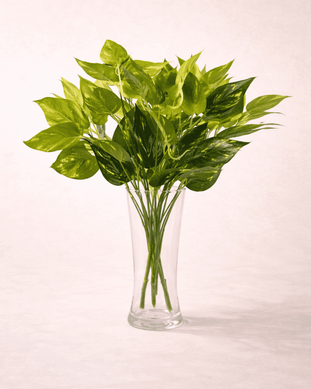 Close-up of lush green artificial pothos leaves in clear vase for aesthetic decor