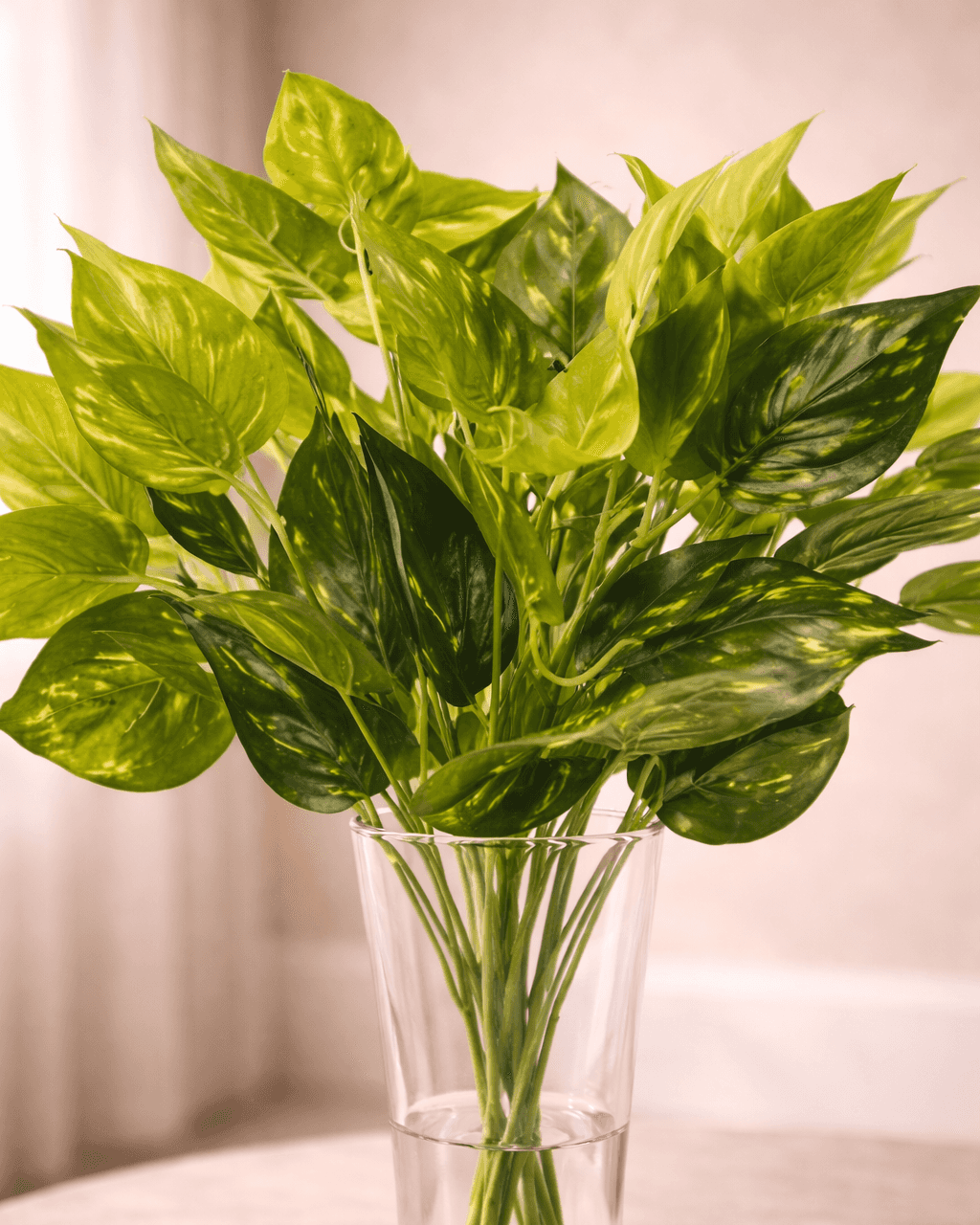 Verdéa Luxe artificial pothos plant bunch set of 2 for modern home decor