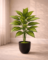 Luxury Zebra Leaf Artificial Plant – 76 CM