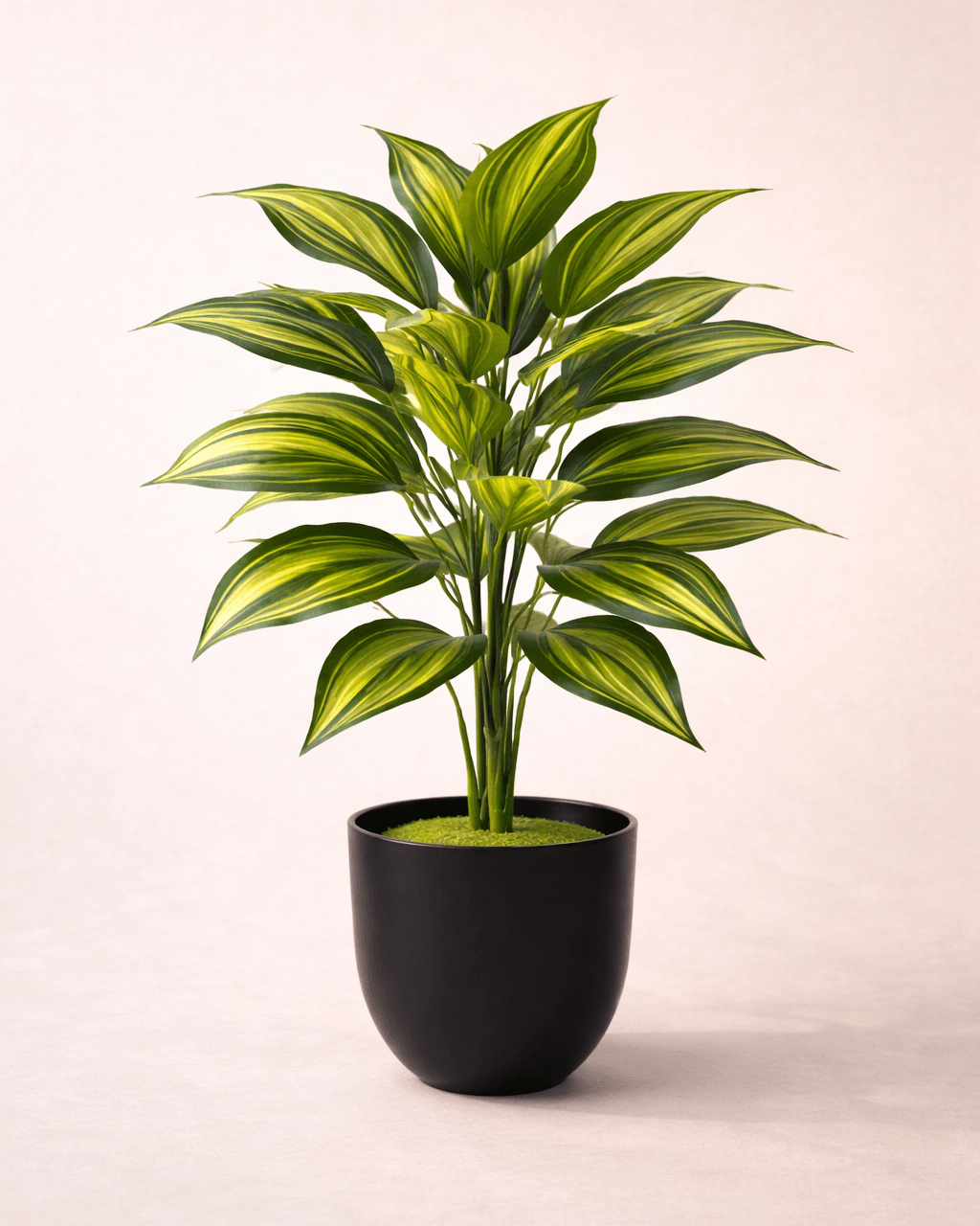 Luxury Zebra Leaf Artificial Plant – 76 CM