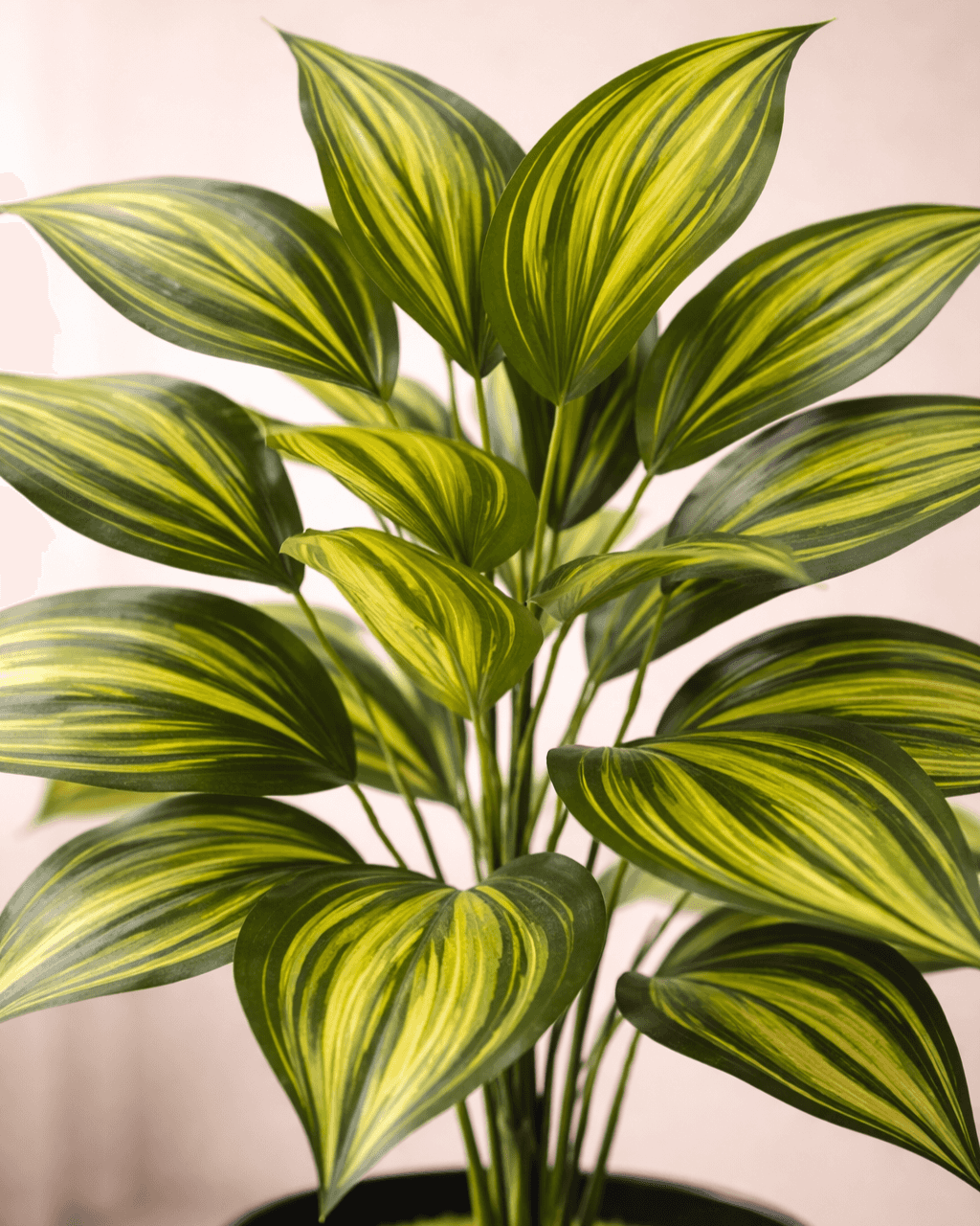Luxury Zebra Leaf Artificial Plant – 76 CM