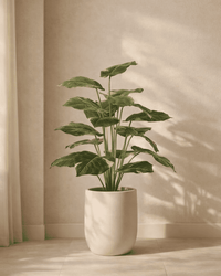 Verdant Luxe™ Real Touch Palm Plant (12 Leaves)
