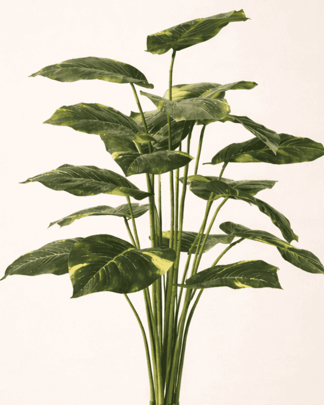 Verdant Luxe™ Real Touch Palm Plant (12 Leaves)