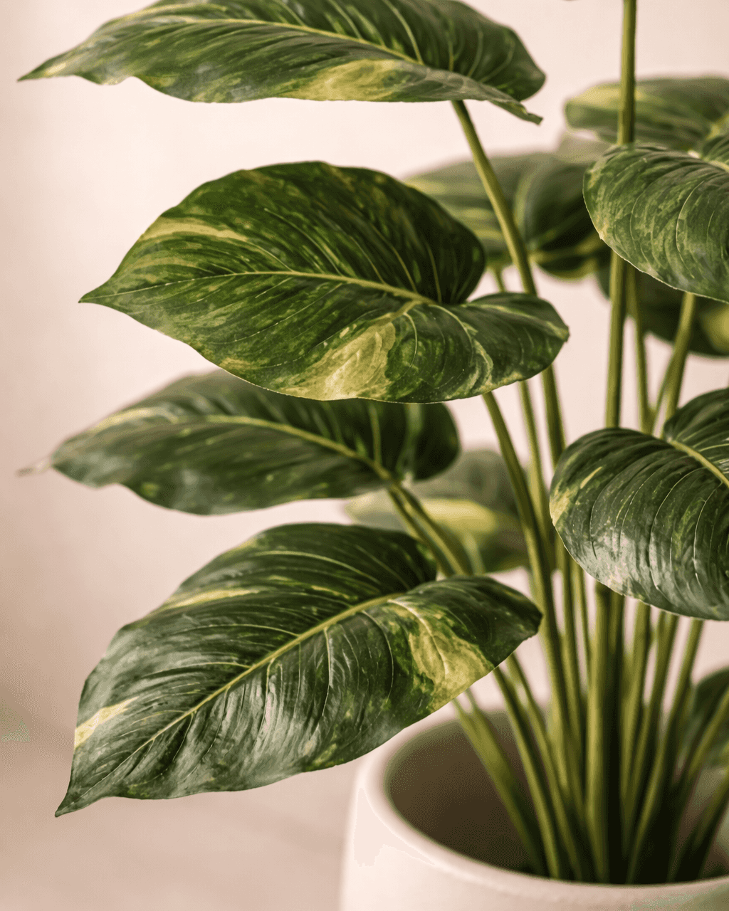 Verdant Luxe™ Real Touch Palm Plant (12 Leaves)