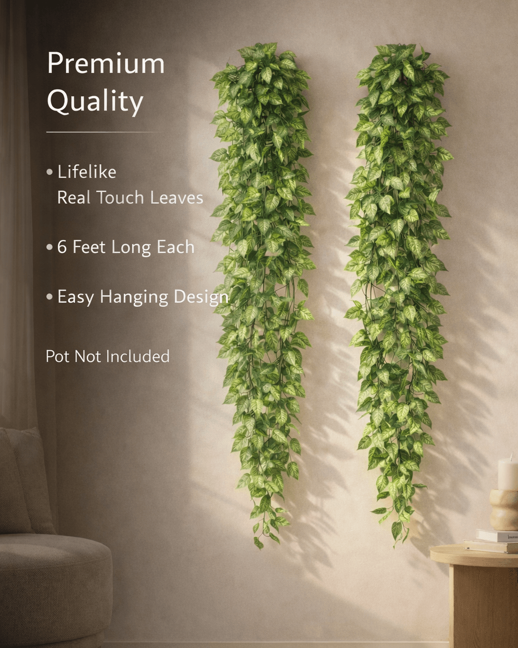 VerdeDrop 6ft Hanging Money Plant (Pack of 2)